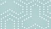 点線からなる毘沙門亀甲のパターン